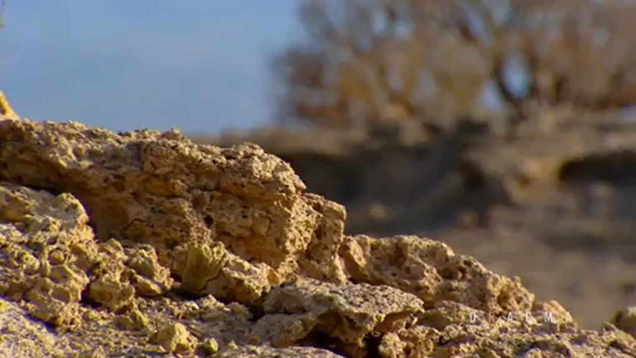 DRACMA 3D REEL 2012_13