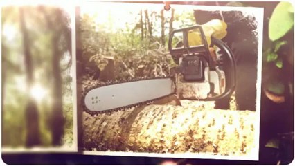 Prose Tree Service - (770) 876-7871