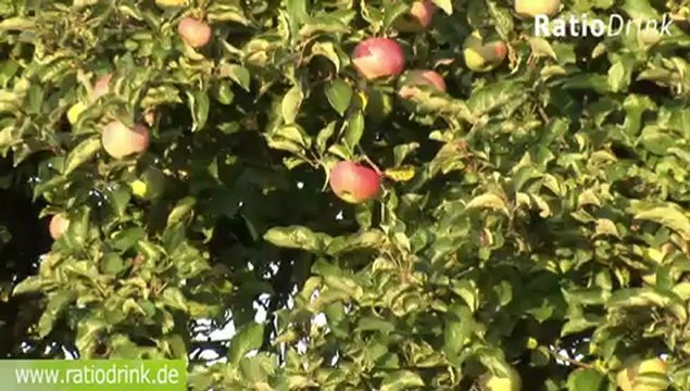 RatioDrink - Vom Apfelbaum ins Saftglas