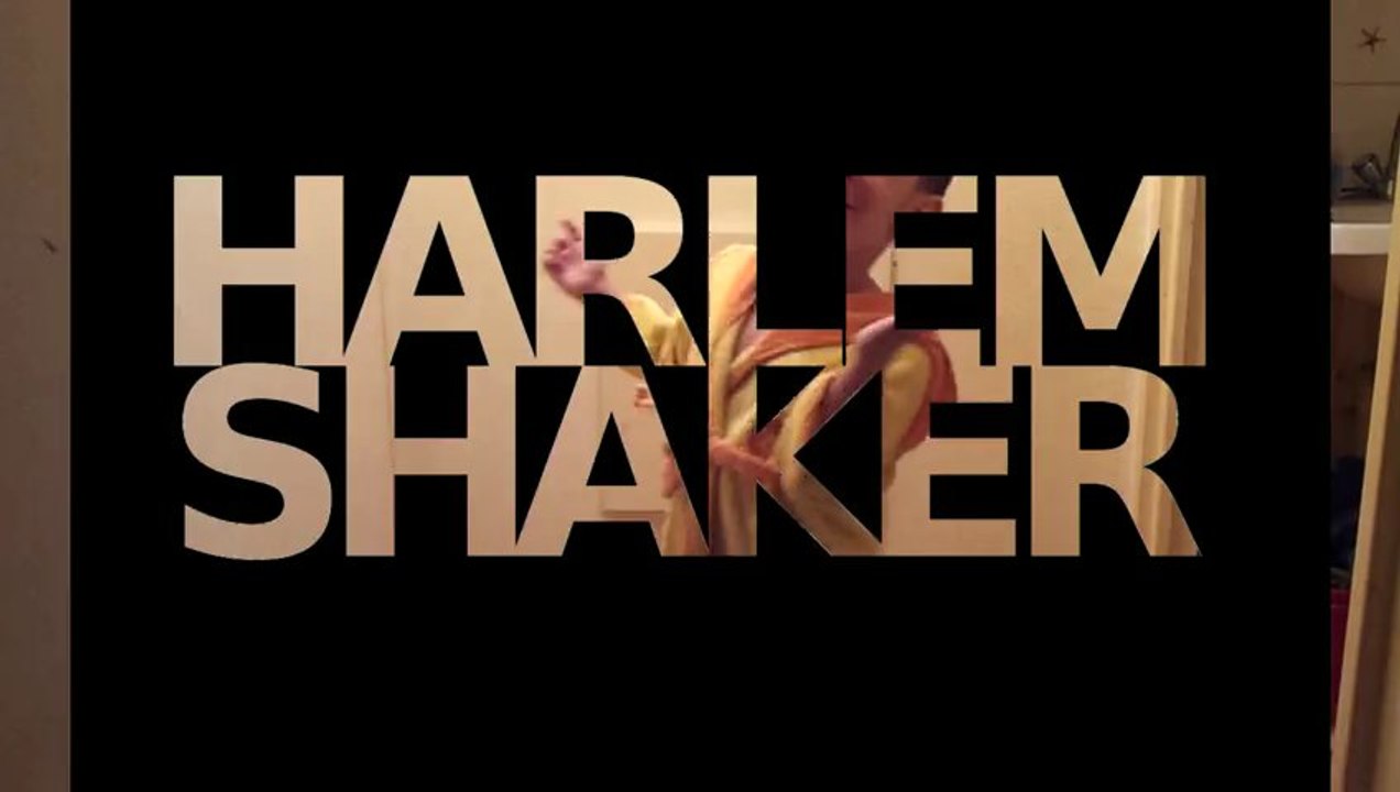 DO THE HARLEM SHAKE (original motoragazzo edition)