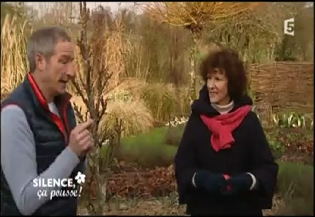 Incroyable mais vrai : incredible edible