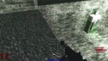 Call of Duty Custom Zombies - Rooftops w/essoFPS & Eirebornfenix
