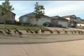 SỬA ĐIỀU HÒA tại THÁI HÀ HÀ NỘI""0973969617""