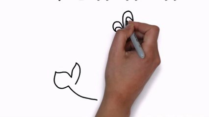 How To Draw A Whale