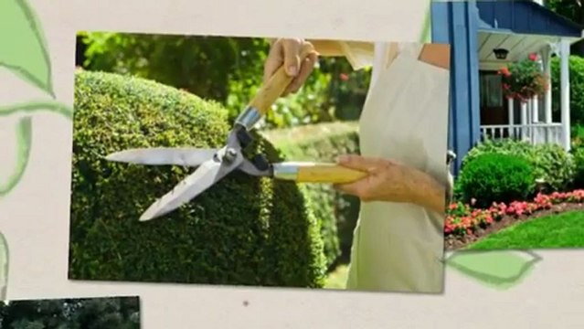 J D landscaping (412) 537-1229