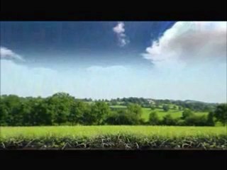 Stylo à bille rechargeable, écologique et biodégradable Papermate