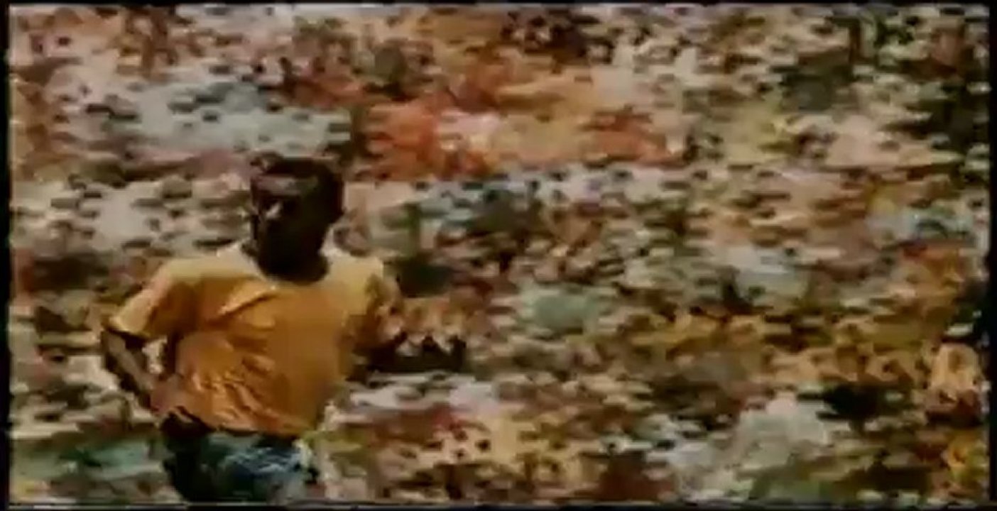 Pele highlights