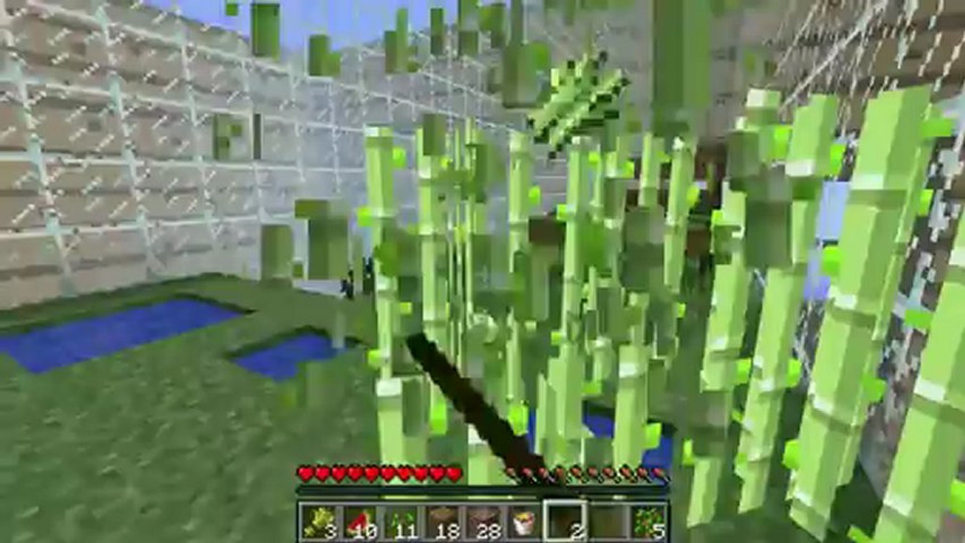 Minecraft - Ant Farm Survival! Episode 10