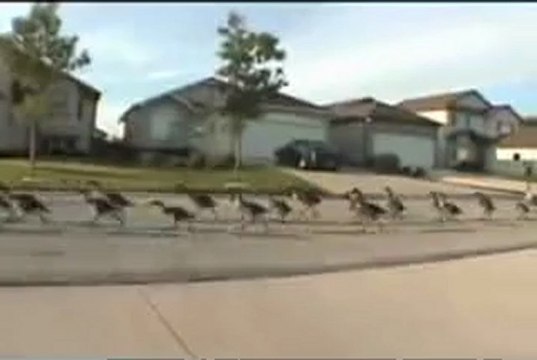 SỬA ĐIỀU HÒA tại THÁI THỊNH HÀ NỘI 0973969617