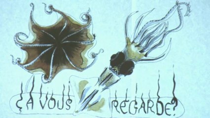 LA CLAIRIERE, Pierre Alferi, Circonférence du Poulpe - Un Nouveau festival 2013