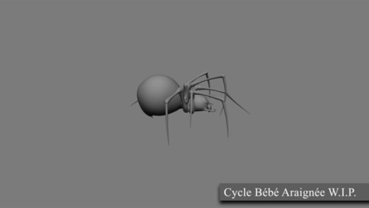 Burns Chronicles - le cycle araignée