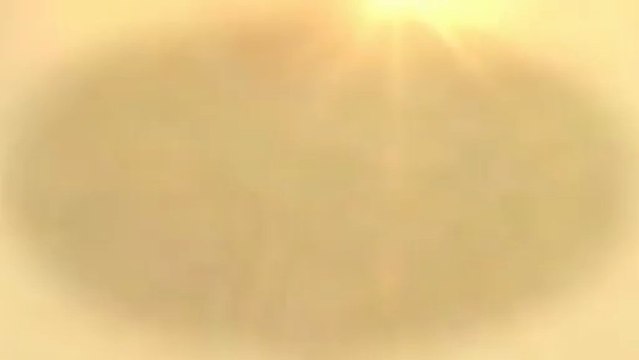 Solid Oak Tree Service (724) 353-1629