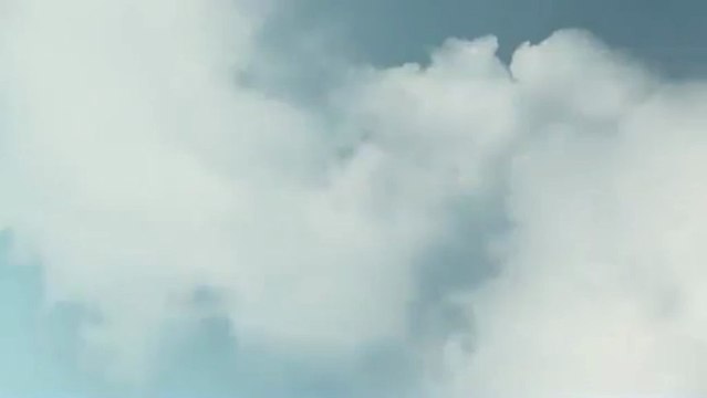 Bliss Tree Service & Landscaping (603) 883-6465