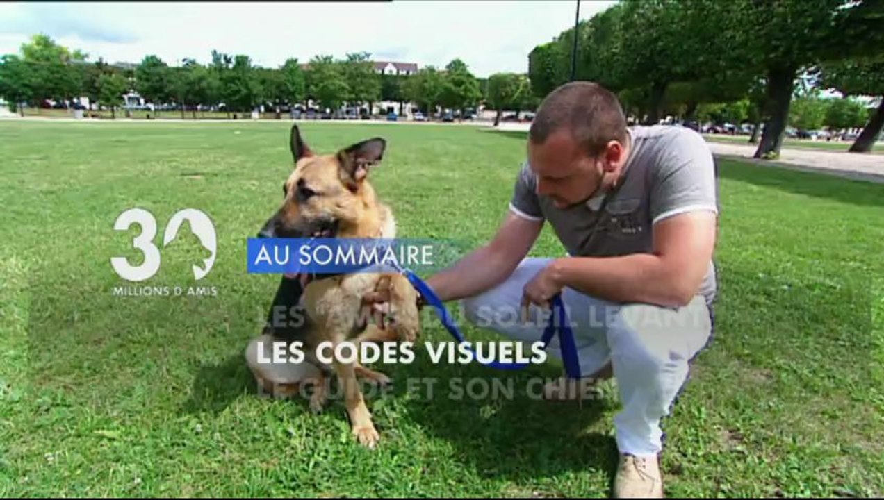 Sommaire émission 30 Millions d'Amis 9/3/2013