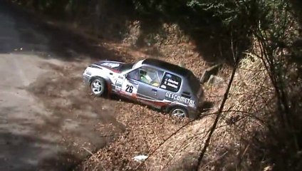 Crash Peugeot 205