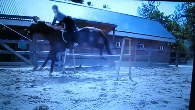 seance de saut avec ma jument