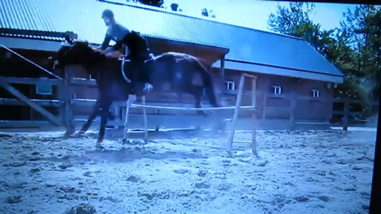 seance de saut avec ma jument