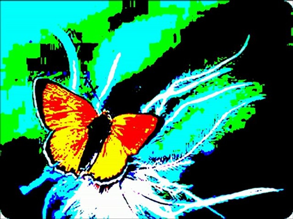 Emilie Simon Papillon REMIX  (underwater version)