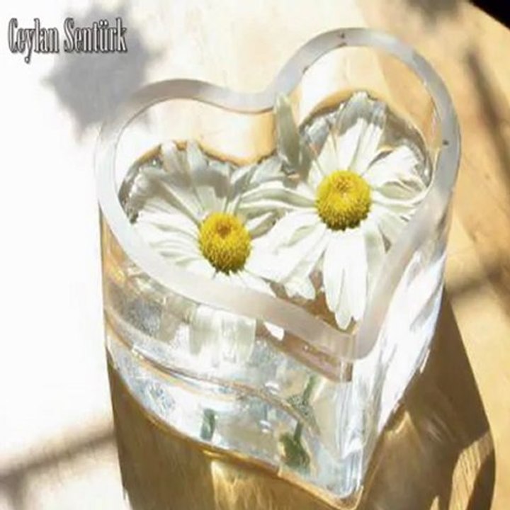 ANLADIM Kİ - İNTİZAR ( 2013 )