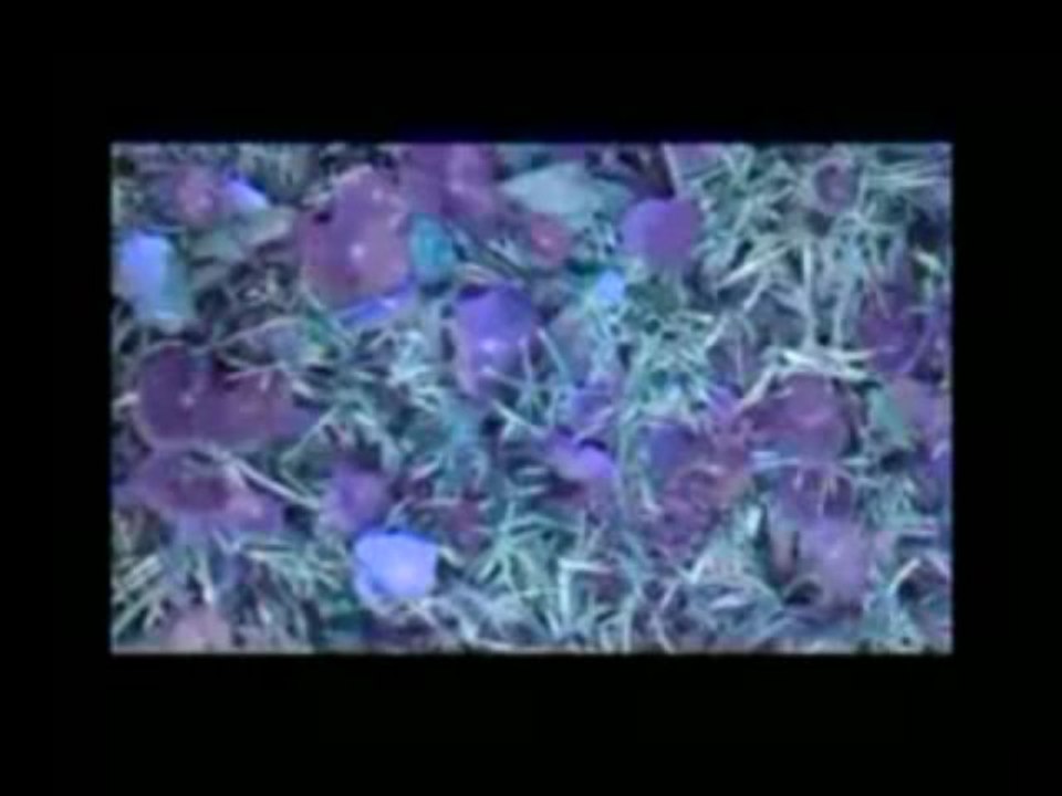 Something To Believe - Reality Is Candy