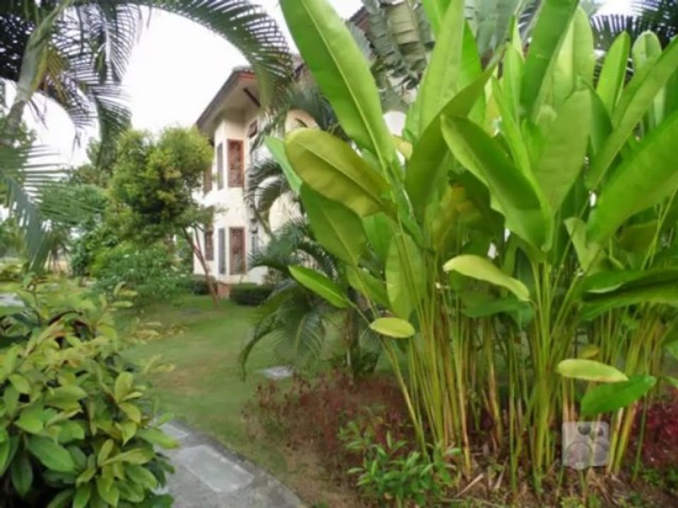 Thailande 2012 - Musique DassoPattaya