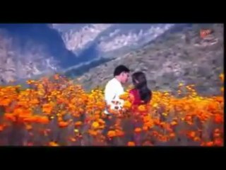 ham cha ghar desi by dhanu gusain