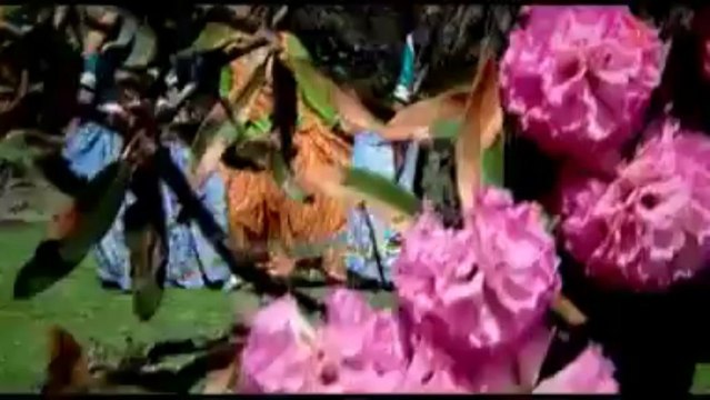 Paurikhal ki baand Mohni by dhanu gusain