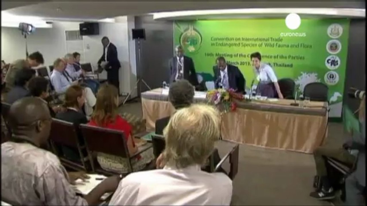 Congo pide marfil ilegal
