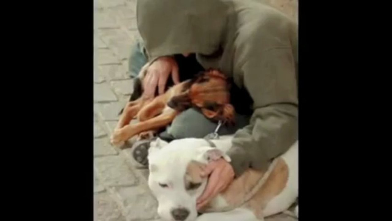 Homeless