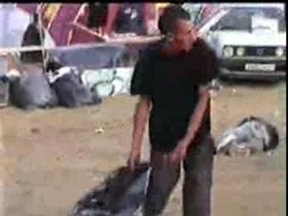 video teknival larzac 2003