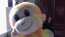 Rebecca - And Other Ramblings - And A Brightly Colored Monkey Doing The Harlem Shake