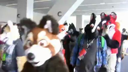 Ordinary Furcon, Anthrocon