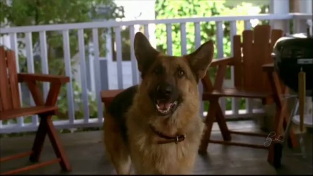 DESPERATE HOUSEWIVES - Susan VS Edie PART ONE
