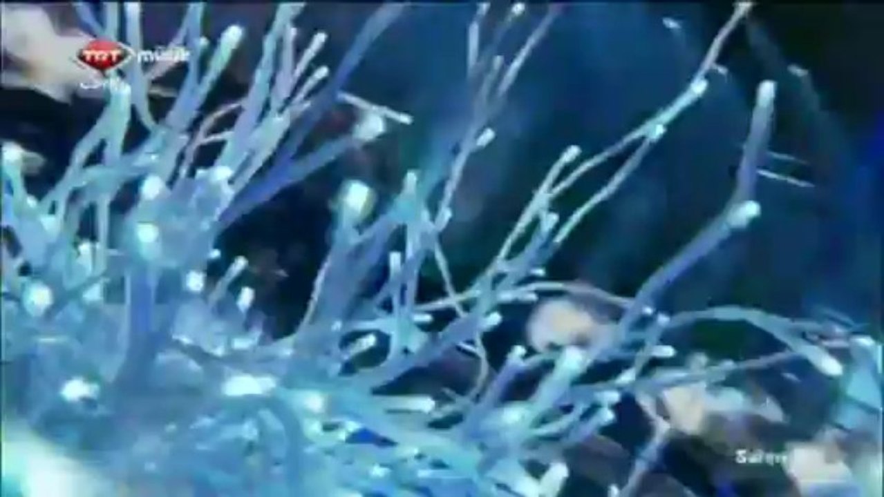 Zeynep BAŞKAN - Fidayda-TRT