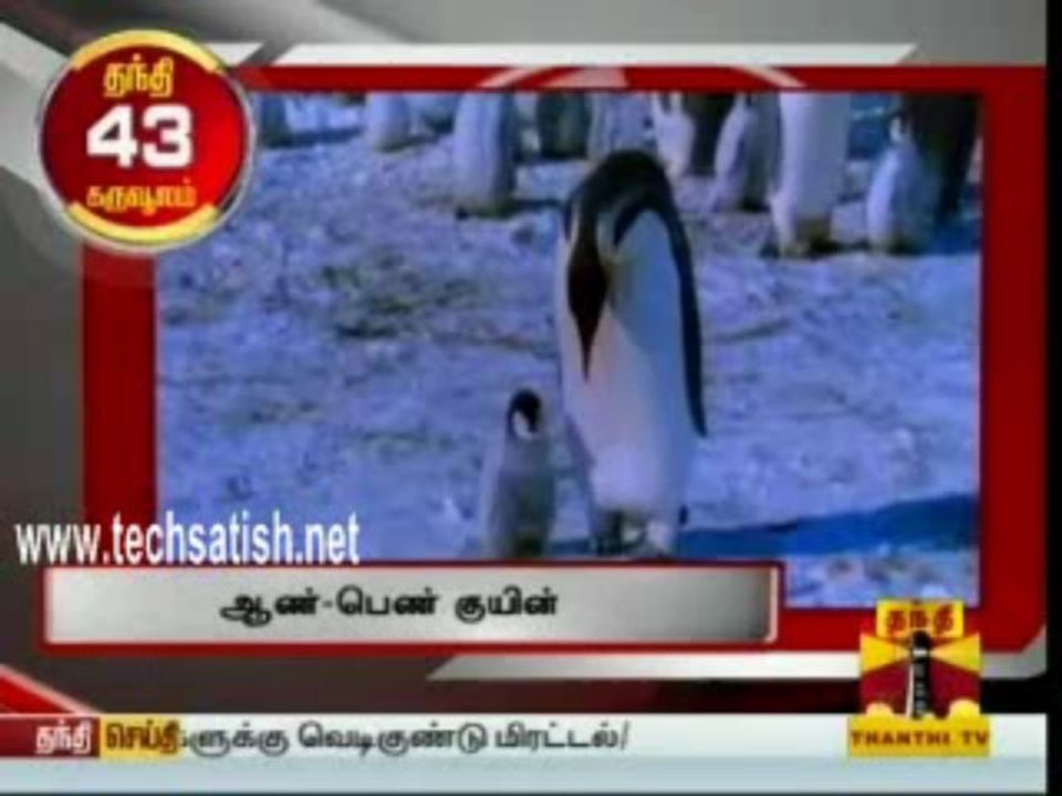 History Files Penquin