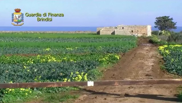 Brindisi - Lotta al crimine organizzato - Sequestrati beni per 19 milioni di euro 2 (04.03.12)