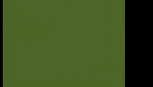 Tricks to Go Vol.3 by Wild-Colombini Magic (DVD) - Magic Trick