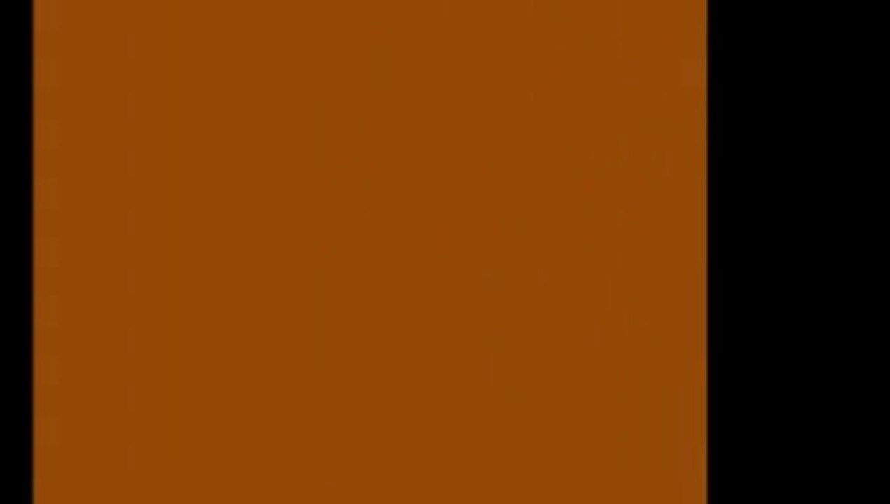 Magigram Vol.5 by Wild-Colombini Magic (DVD) - Magic Trick