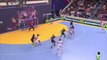 But laser du pivot Parisien Robert Gunnarsson lors de la 17e journée de D1 de handball