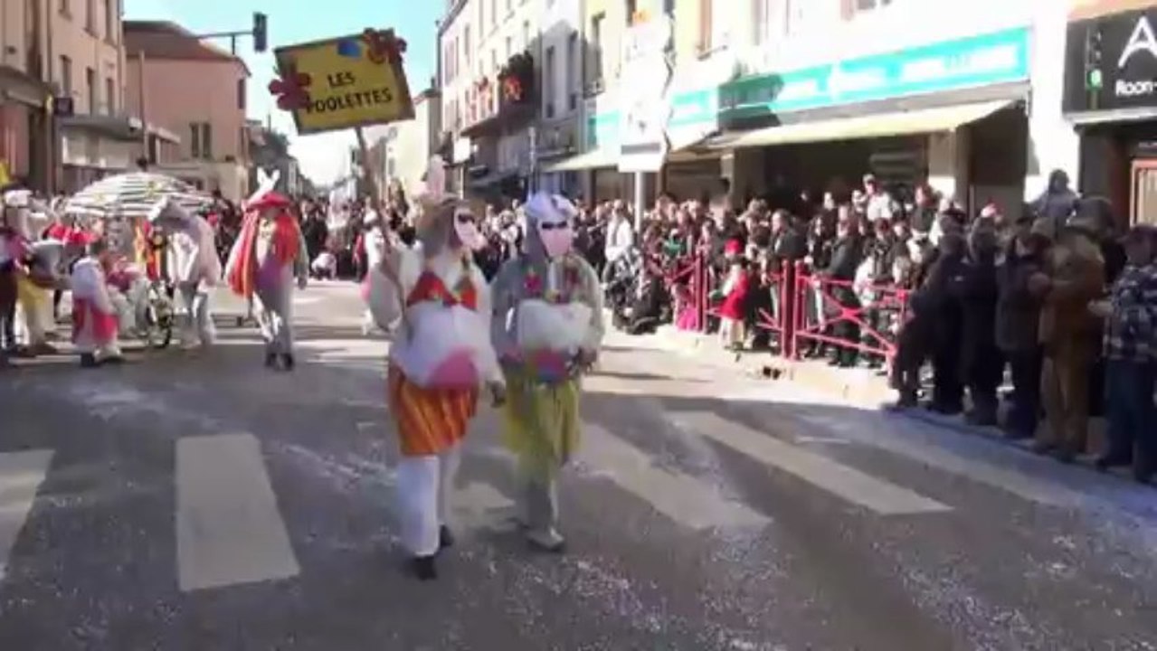 Carnaval de Raon l'Etape  3.03.13 - les poOlettes défilent