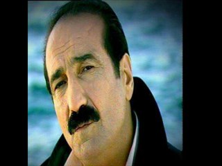 seyfi doğanay-belamısın