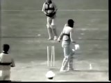 Richard Hadlee vs Viv Richards