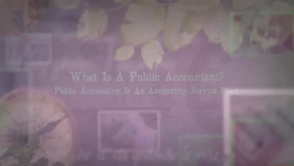 What Is a Public Accountant?