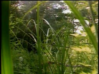 純次登場シーン