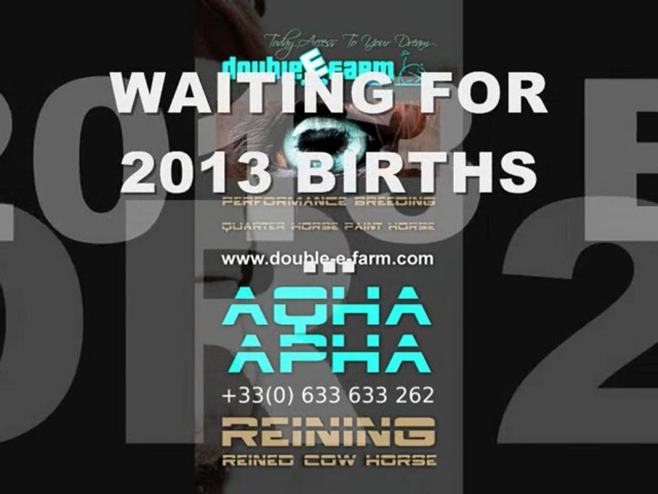 Double E Farm 2013 foals