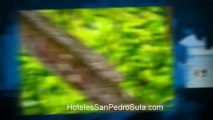 Hoteles San Pedro Sula Presenta: Lugares Turisticos 