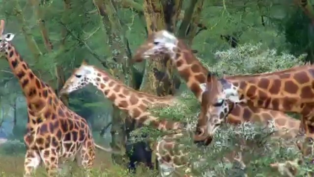 20082012 4 années de merveilles autour du monde...