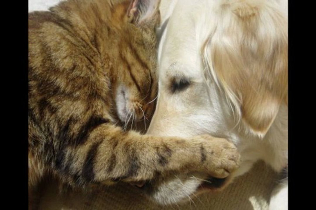 Prljavo Kazaliste - Ako trazis nekoga