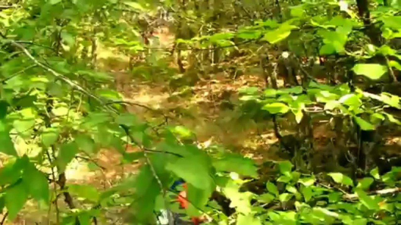 Metewra 3