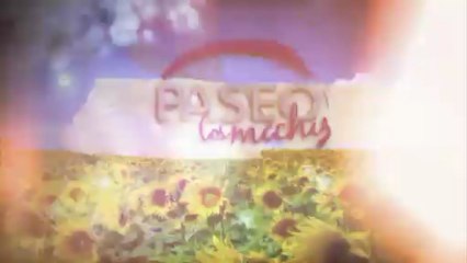 Desfile primavera - verano  Plaza paseo Los Mochis